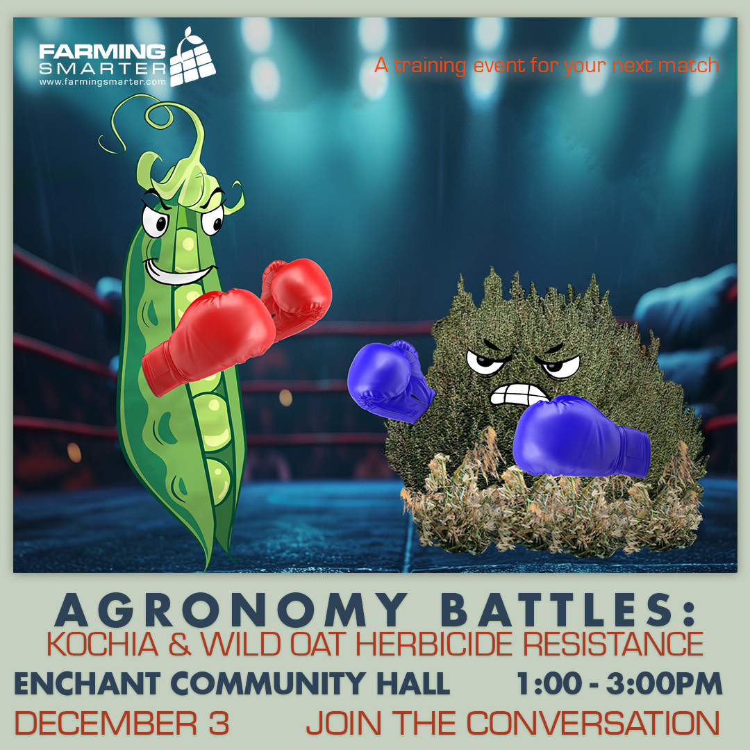Agronomy Battles: Kochia & Wild Oat Herbicide Resistance - Dec. 3