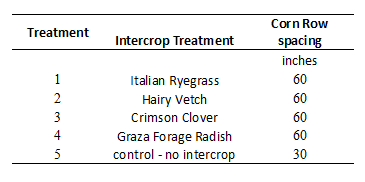 treatment table