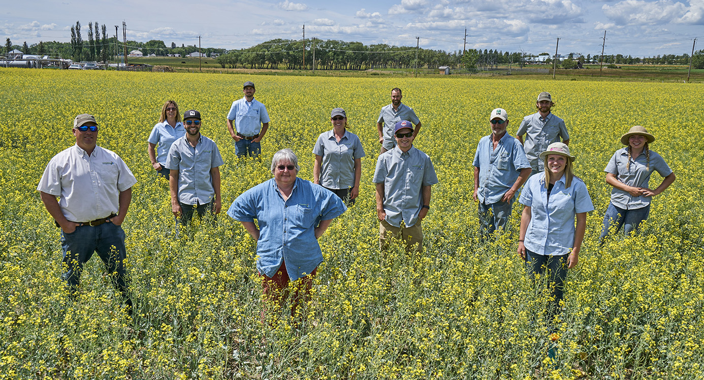 Claudette Lacombe and the staff of Farming Smarter stand spread out in a canola field for the 2016 staff photo