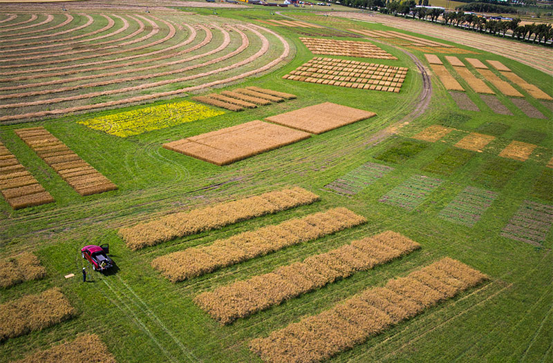 A truck driving in a field