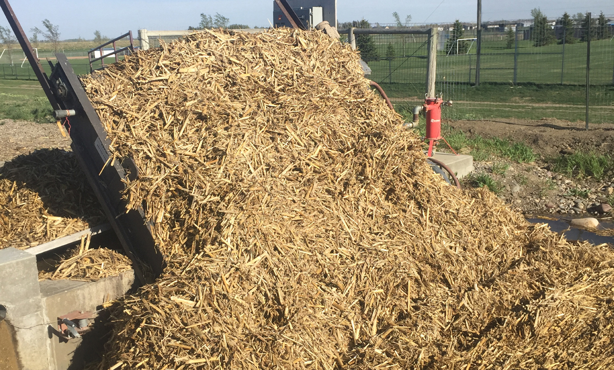 Irrigation trash rack plugged by blown trash