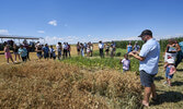 Take a wagon ride out to our crops!