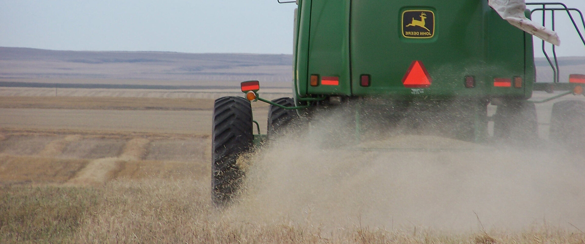 Canola Emergence