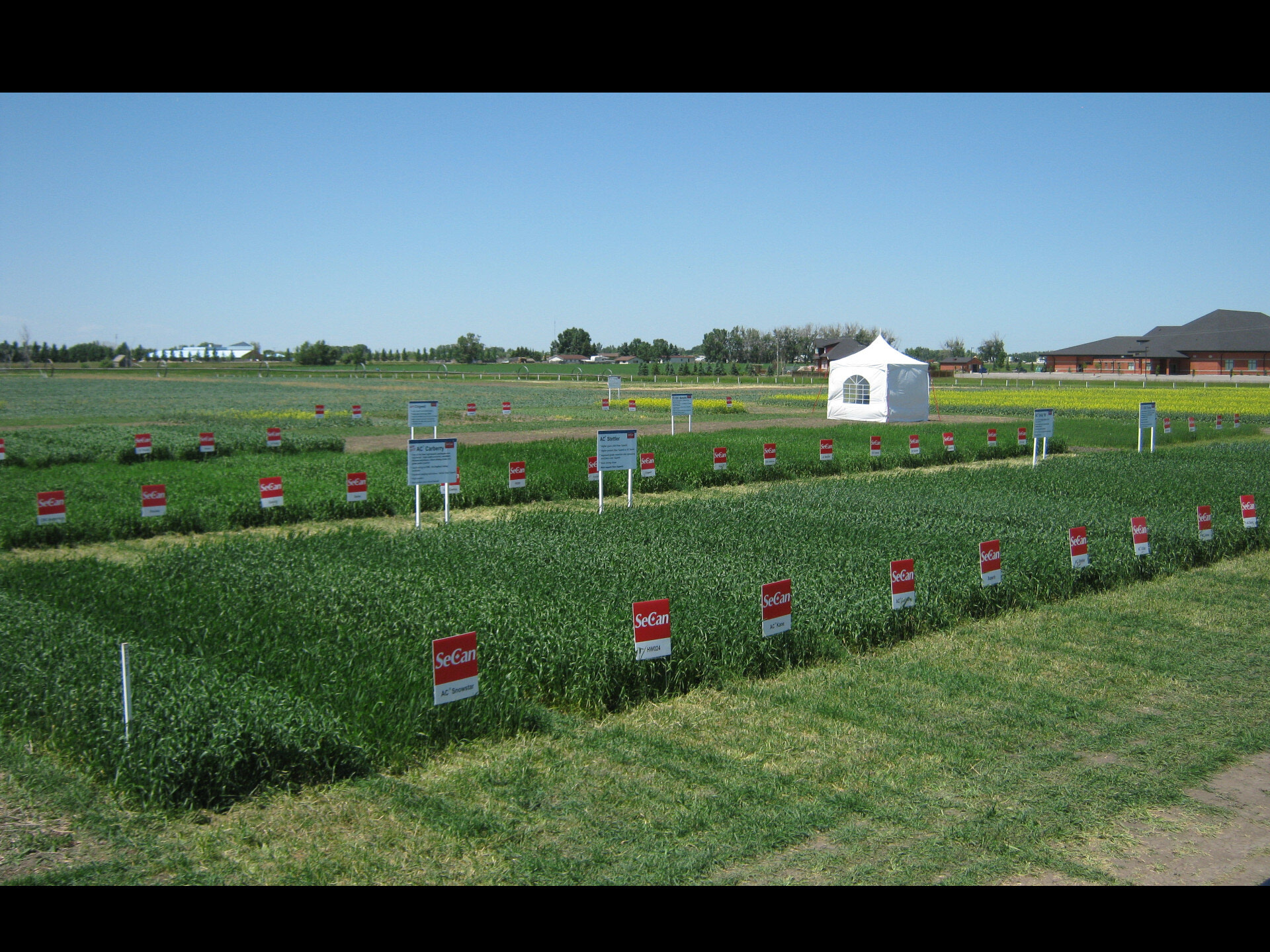 On-farm Fusarium Management