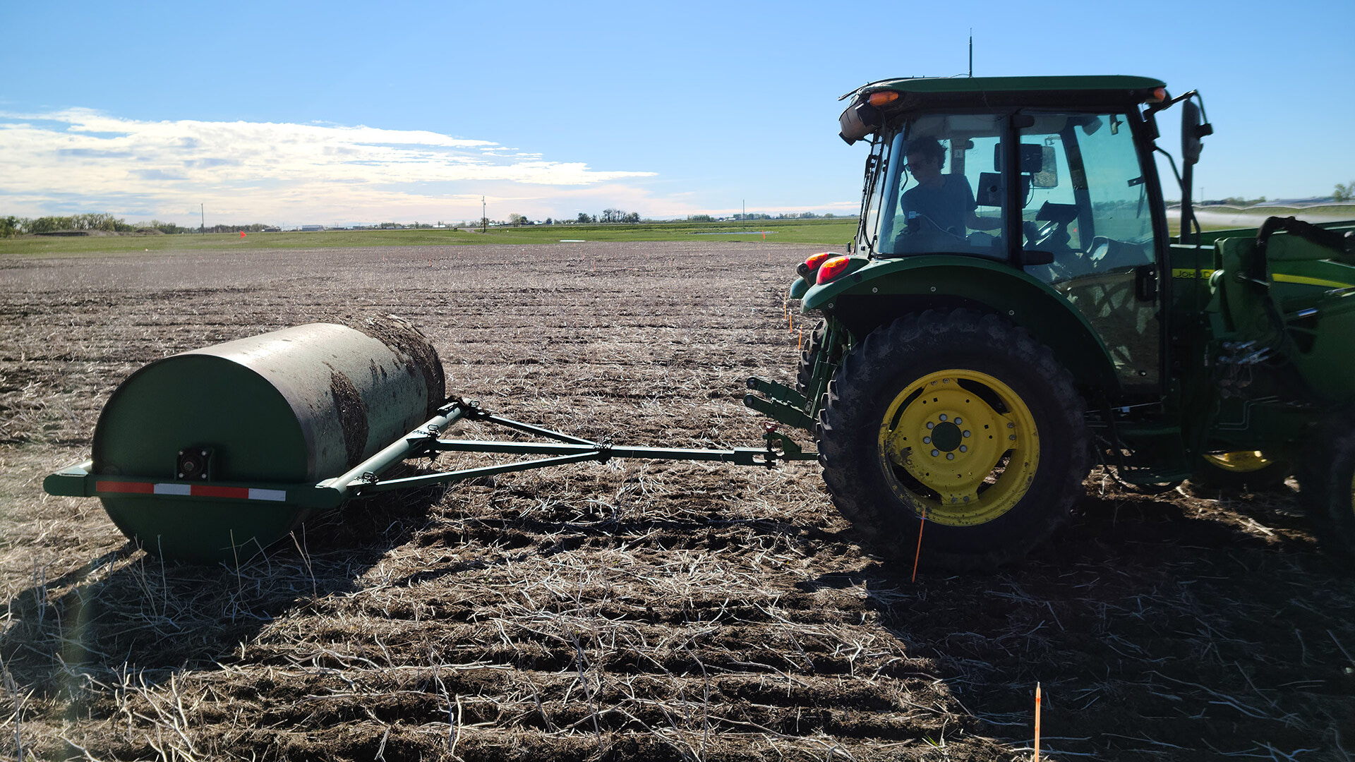 Rolling Barley for Silage Yield